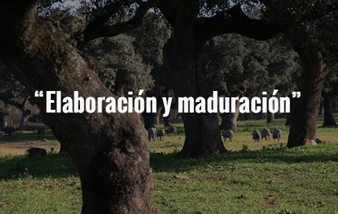 Elaboración y maduración